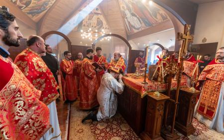 Ordinations-headline